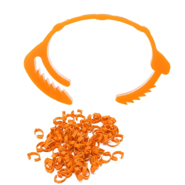 Poultry Leg Bands, Six Card Slots 10pcs/set Distinguish Different Varieties Chicken Foot Rings For Poultry For Daily For Home For Outdoors Orange