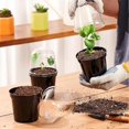 thumbnail image 5 of Transparent plastic plant pots for home and garden, set of 10, designed for various plant species (7.6 cm / 3 inches)., 5 of 5