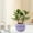 Purple, variant on YIMWNYI Cream Pumpkin Cactus Planter, Ceramic Flower Vase, Breathable Vertical Planter, Artisanal Gardening Pot, Succulent and Cacti Holder, Stylish Decor Container
