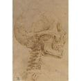 thumbnail image 2 of Battista Franco 14x18 Gold Ornate Wood Frame and Double Matted Museum Art Print Titled - Skull in Profile (ca. 1538), 2 of 4