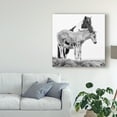 thumbnail image 3 of Trademark Fine Art 'Black And White Horses I' Canvas Art by PHBurchett, 3 of 4