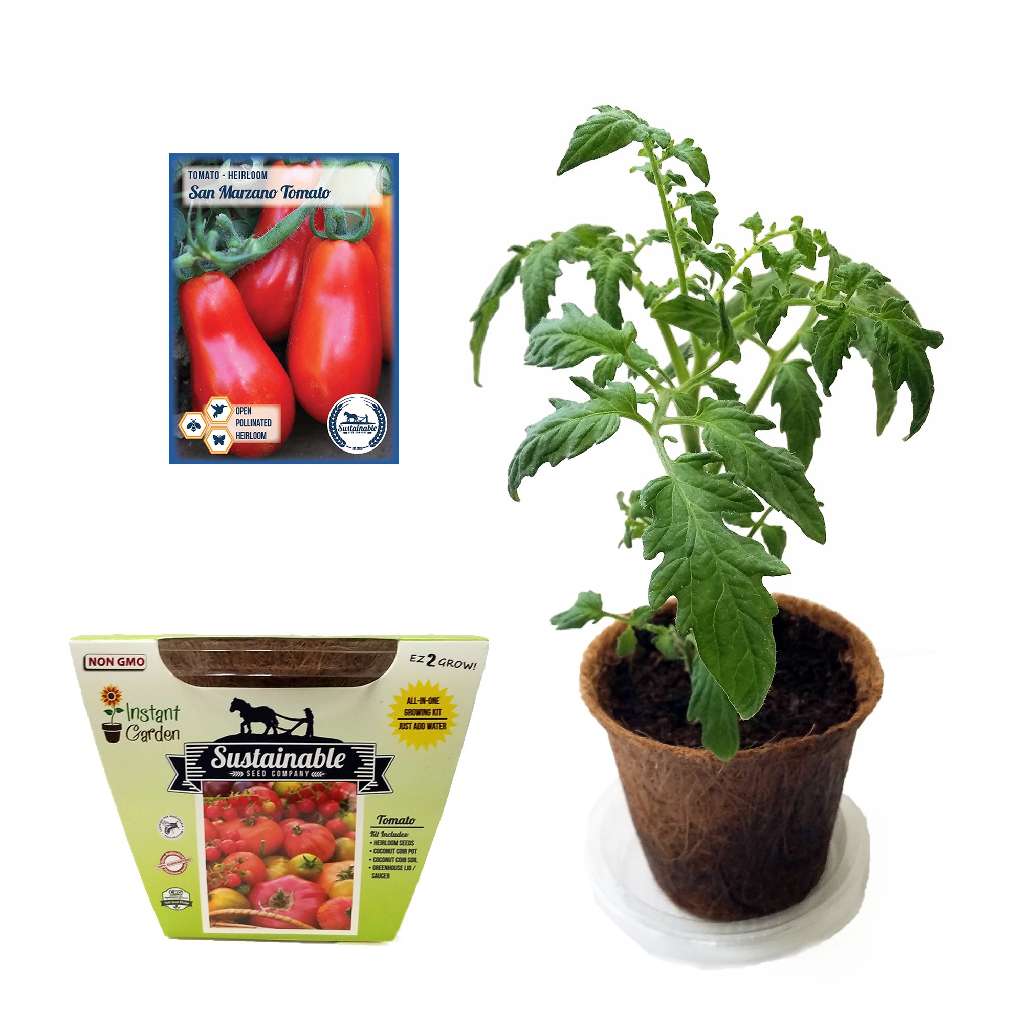 Tomato AllInOne Growing Kit, Non GMO Heirloom Tomato Seeds (San