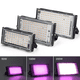 thumbnail image 2 of Luz de crecimiento de plantas de espectro completo de 500 W Luz de plántulas de espectro completo Luz de planta led, 2 of 4