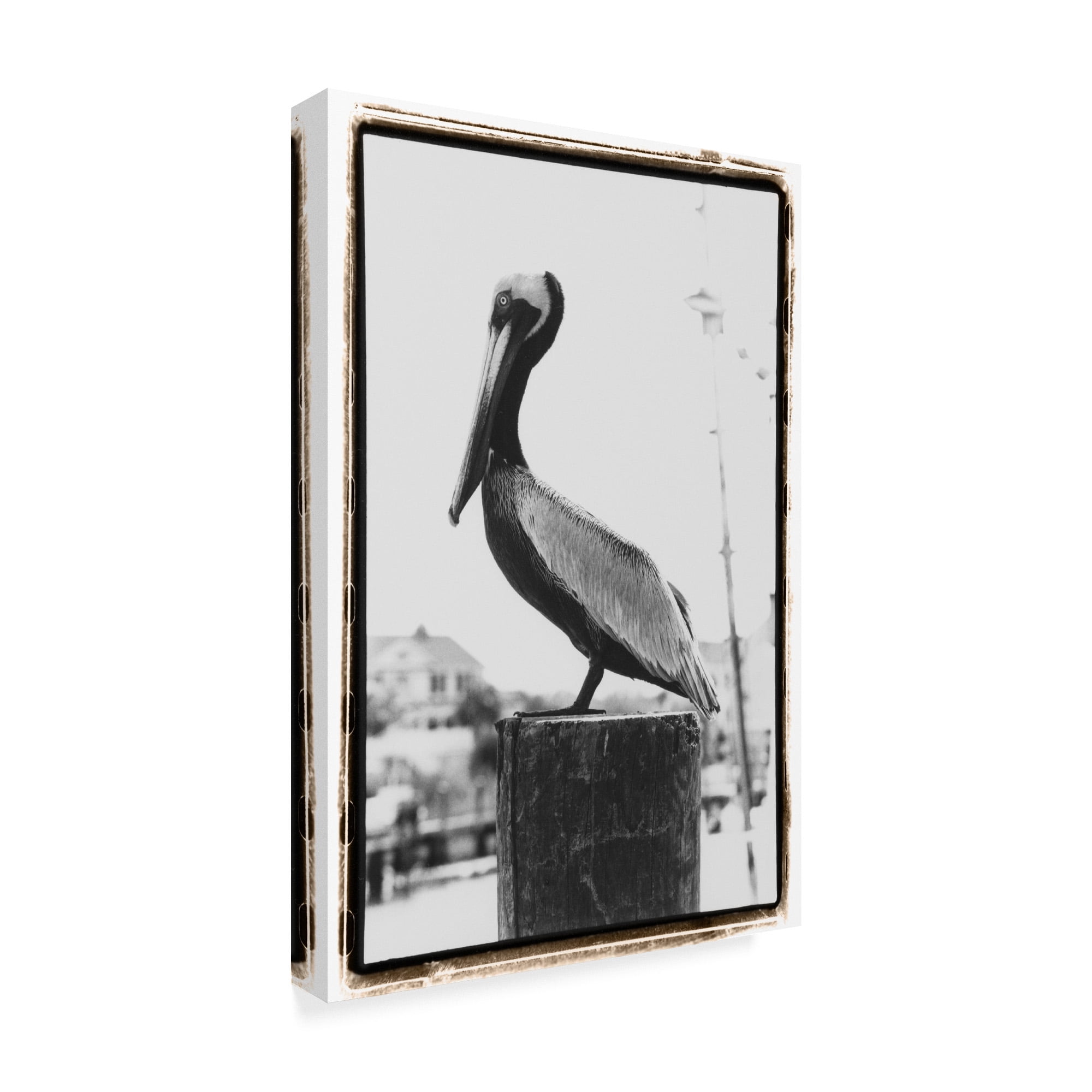 Trademark Fine Art 'Pelican Perched' Canvas Art by Laura DeNardo