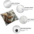 thumbnail image 4 of COMIO Spring Throw Pillow Covers Peach Squirrel Nature Cute Funny Country Flower Grey Decorative Cozys Couch Bedroom Living Rooms Room Cushion Covers Pack of 2 White, 4 of 6