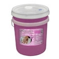 Liquid Hand Washing Soap 5 Gallon (640 Fl. Oz.) Bulk Bucket with Pump