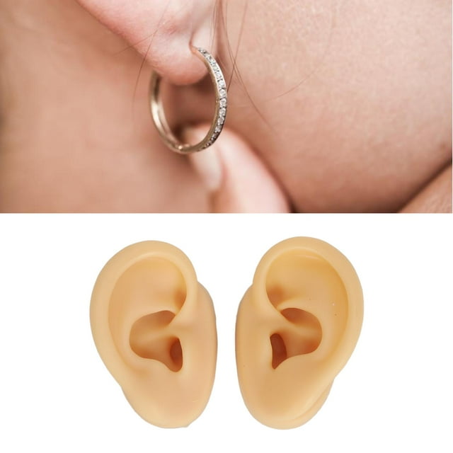 Perçages Prothétiques, Modèle d'Oreille en Silicone Perçage d'Oreille Prothétique Perçages d'Oreille Réutilisables Modèle de Pratique pour Affichage de Bijoux Apprentissage de Mannequin d'Acupuncture