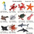 thumbnail image 4 of HLONK 12-Piece Mini Ocean Animal Figurine Set - Mixed Color Assorted Marine Life Models  Educational Sea Creatures for Science Teaching  Aquarium Decor  PVC Material  Suitable for Ages 3+, 4 of 4