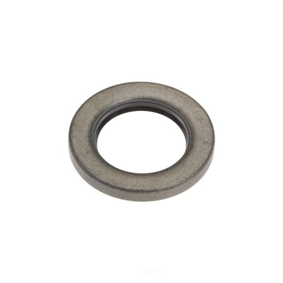 National 441319 Oil Seal