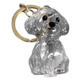 thumbnail image 3 of HANDIED Pendentif Ménager Collecteur de Poils de Chien Porte-Clés Breloque Boîte de Rangement Commémorative Souvenir de Poils d'Animaux Porte-Clés Transparent Mignon, 3 of 6