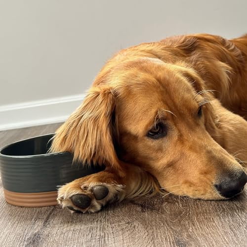 Ceramic Pet Bowl Size Medium - Food/Water Dish for Large Puppies, Cats, Retrievers, Medium Sized Dogs, ect. 28oz or 4 Cups - Basic Bowls for Your Dog or Cat, Mix and Match for a Set - Charcoal