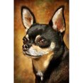 thumbnail image 1 of Taladro diamante pintura (DE4021) 5D DIY completo perro bordado mosaico Kits decoración del hogar 40x50cm Hugtrwg Para estrenar, 1 of 1