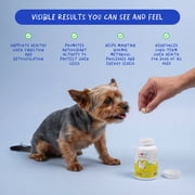 Coco and Luna SAMe for Dogs - Brain Support - 120 Tablets