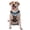 With Accessories, variant on Vsdgher Snowy Mountain Photography Bear Pattern Dog Harness,No Pull Pet Harness with Soft Padded Handle,Adjustable Reflective Vest with 2 Buckles,4 Slide Buckles,S-XL
