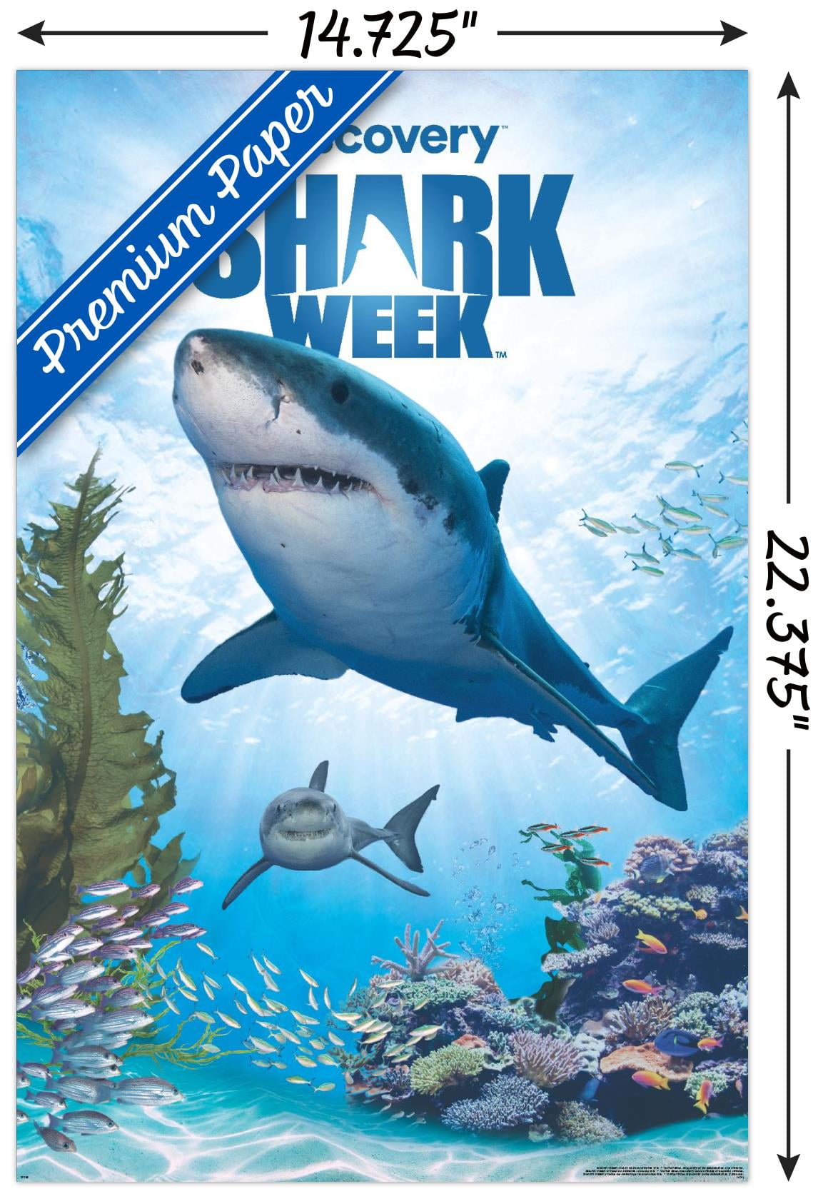 b233372a-a4ee-4695-aa22-