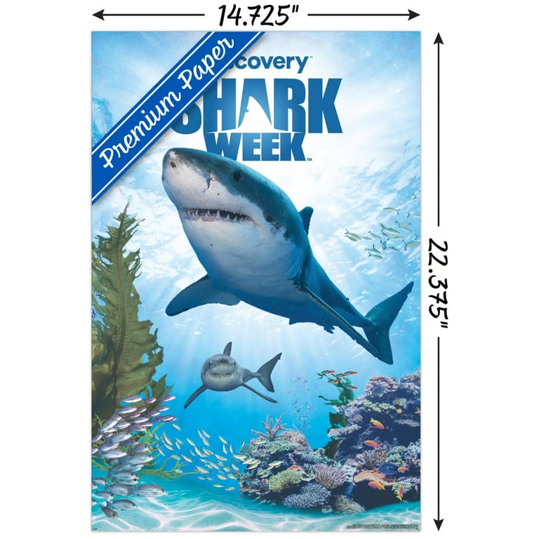 Shark Week - Shark Adventure Wall Poster, 14.725