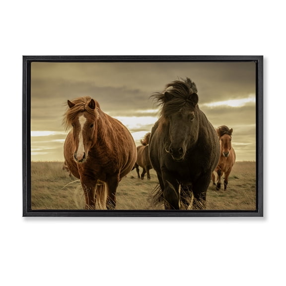 Stupell Industries Farmhouse Icelandic Afterglow Horses Black Floating Frame Canvas Art, 25 x 17, by Christy Berry