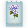thumbnail image 2 of Manitou Springs, Colorado, Vintage Flora, State Series, Rocky Mountain Columbine (36x54 Giclee Gallery Art Print, Vivid Textured Wall Decor), 2 of 3