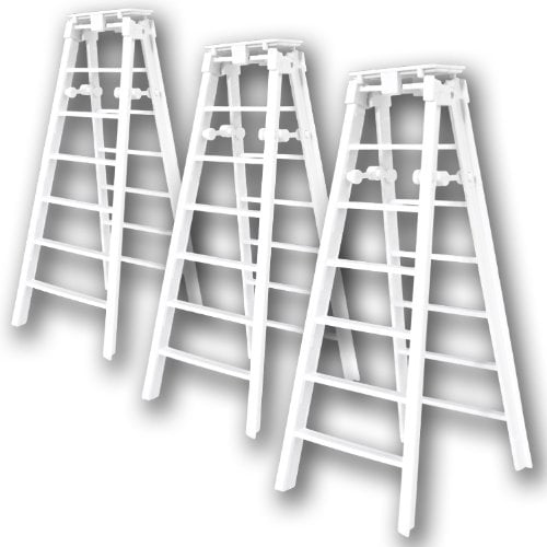 WWE Folding Ladder
