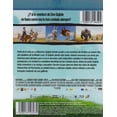thumbnail image 2 of Donkey Xote 2007 Facundo Gomez Pelicula Blu-ray QUALITY Blu-ray, 2 of 2