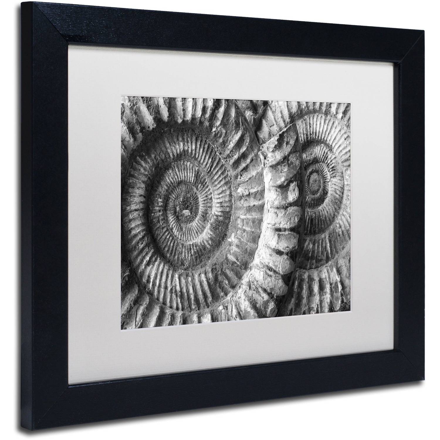 Trademark Fine Art "Amonita 3" Canvas Art by Moises Levy White Matte, Black Frame