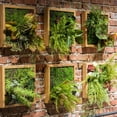 thumbnail image 4 of Artificial Faux Plant Succulent Wall Art, 4 of 8