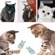 thumbnail image 5 of 5 uds. Juguete con hierba gatera para gatos, juguete interactivo para gatos de interior, juguete molar para gatitos, 5 of 5