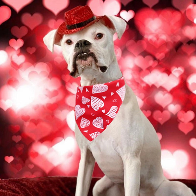 Flower Dog Bandana Valentines Day Dog Bandana- Self Love Valentine Dog Shirt Be Kind Dog Bandana Mental Health Dog Dog Lover