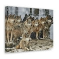 thumbnail image 5 of Wolf Pack Ready To Hang Stretched Canvas Wall Art, 5 of 18
