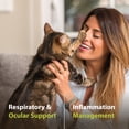 thumbnail image 6 of PRN Pharmacal Duralactin Feline L-Lysine Paste for Cats & Kittens - Supports Feline Joint, Respiratory & Ocular Health - Natural Chicken-Flavored Paste to Help Manage Soreness - 32.5mL (3 Pack), 6 of 8