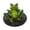 B, variant on Dserhfy Floating Frog Decoration Pond Frog Decoration Resin Lying Frog Figure for Outdoor Garden Pond Swimming Pool Decor