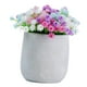 thumbnail image 3 of Flores artificiales de gypsophila, pequeñas plantas falsas, realistas, decorativas, artificiales. Vistoso, 3 of 9