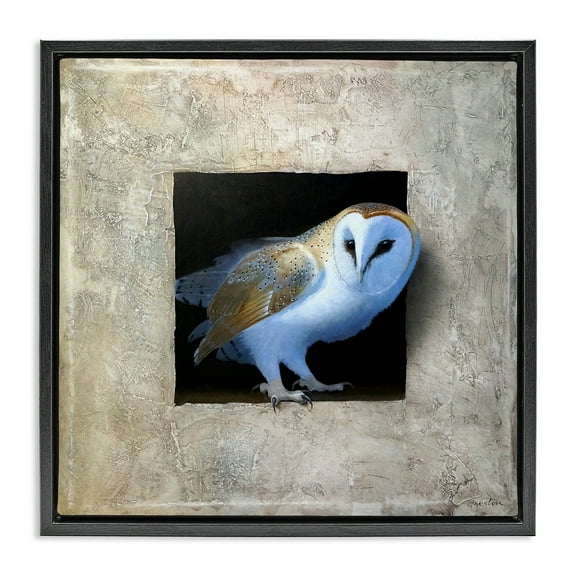 Stupell Industries Mysterious Barn Owl Peering Animals & Insects Painting Black Floater Framed Canvas Art Print Wall Art, 18 x 18