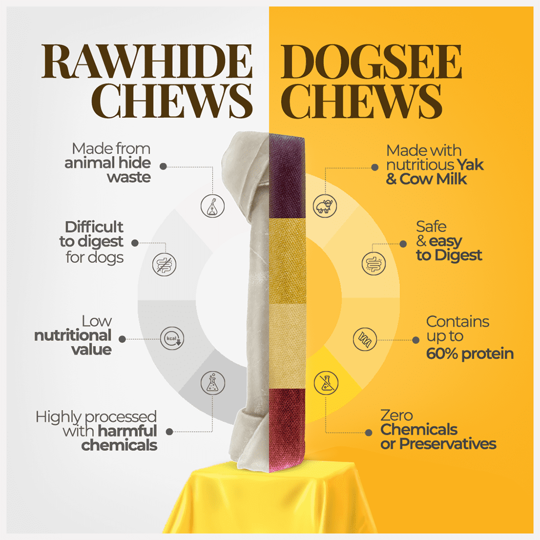 Dogsee Multiflavor Yak Cheese Dental Chews Medium Dogs 280 g 4 Rawhide‑Free Bars