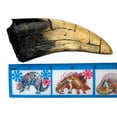 thumbnail image 3 of T-Rex - Tyrannosaurus Rex Dinosaur Tooth Replica, 3 of 4