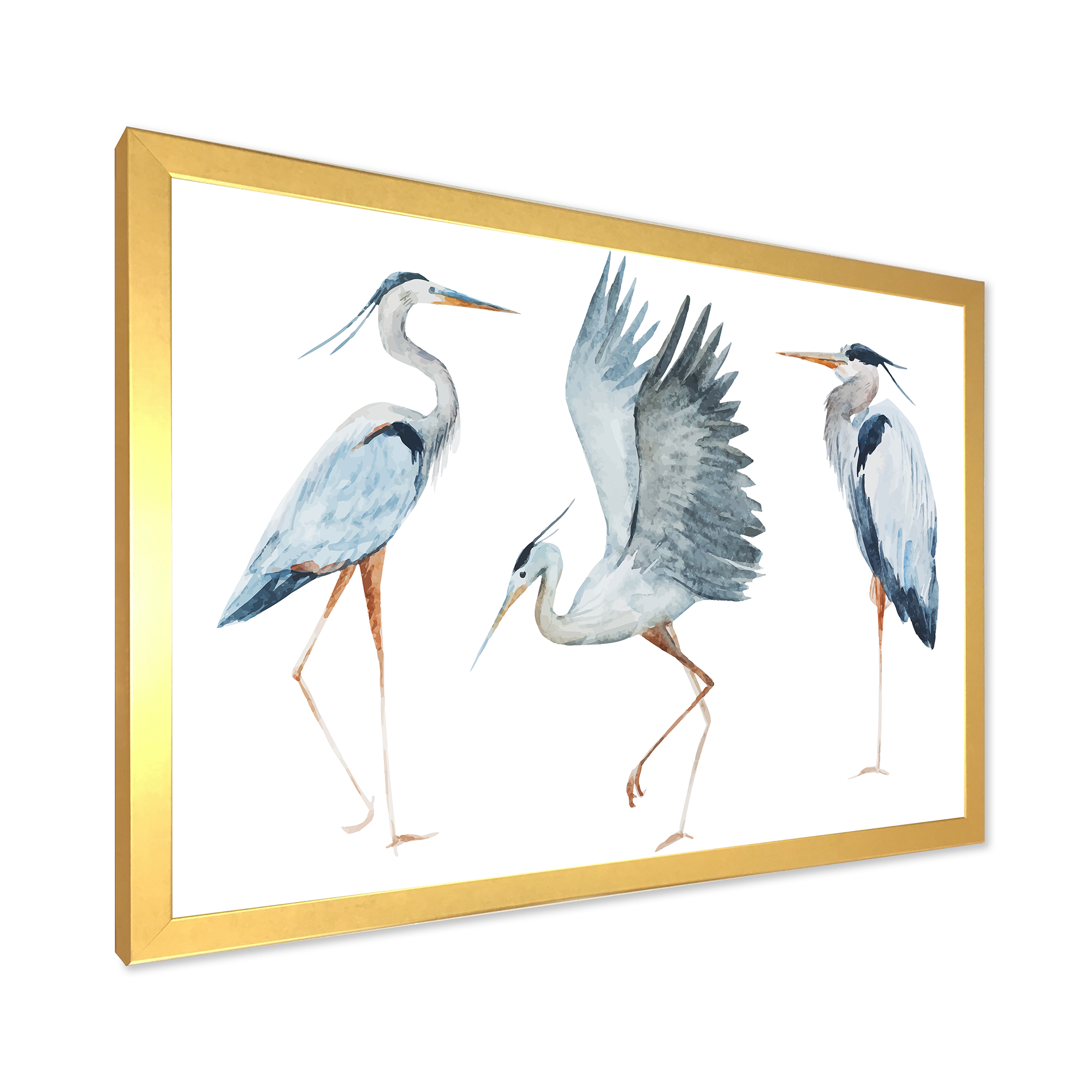 Designart 'Portrait Of Heron Birds II' Traditional Framed Art Print