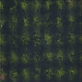 thumbnail image 1 of Ahgly Tapis d'Intérieur Carré à Motifs Noir PAT1629X, 7 Pieds Carré, 1 of 6