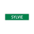 thumbnail image 1 of Sylvie Girls Children Name Letter Printed Label Indoor Outdoor Wall Plaque Decoration Aluminum Metal Sign 4"x18", 1 of 1