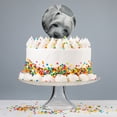 thumbnail image 4 of Acrylic Yorkshire Terrier Yorkie Tired Sleepy Dog Cake Topper Party Decoration for Wedding Anniversary Birthday Graduation, 4 of 7