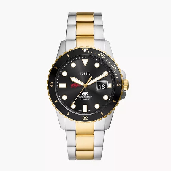 Men's Fossil Silver Arkansas Razorbacks Blue Dive Three-Hand Date Two-Tone Stainless Steel Watch