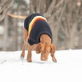 thumbnail image 5 of GF Pet Retro Sweater - Navy - 3XS, 5 of 5
