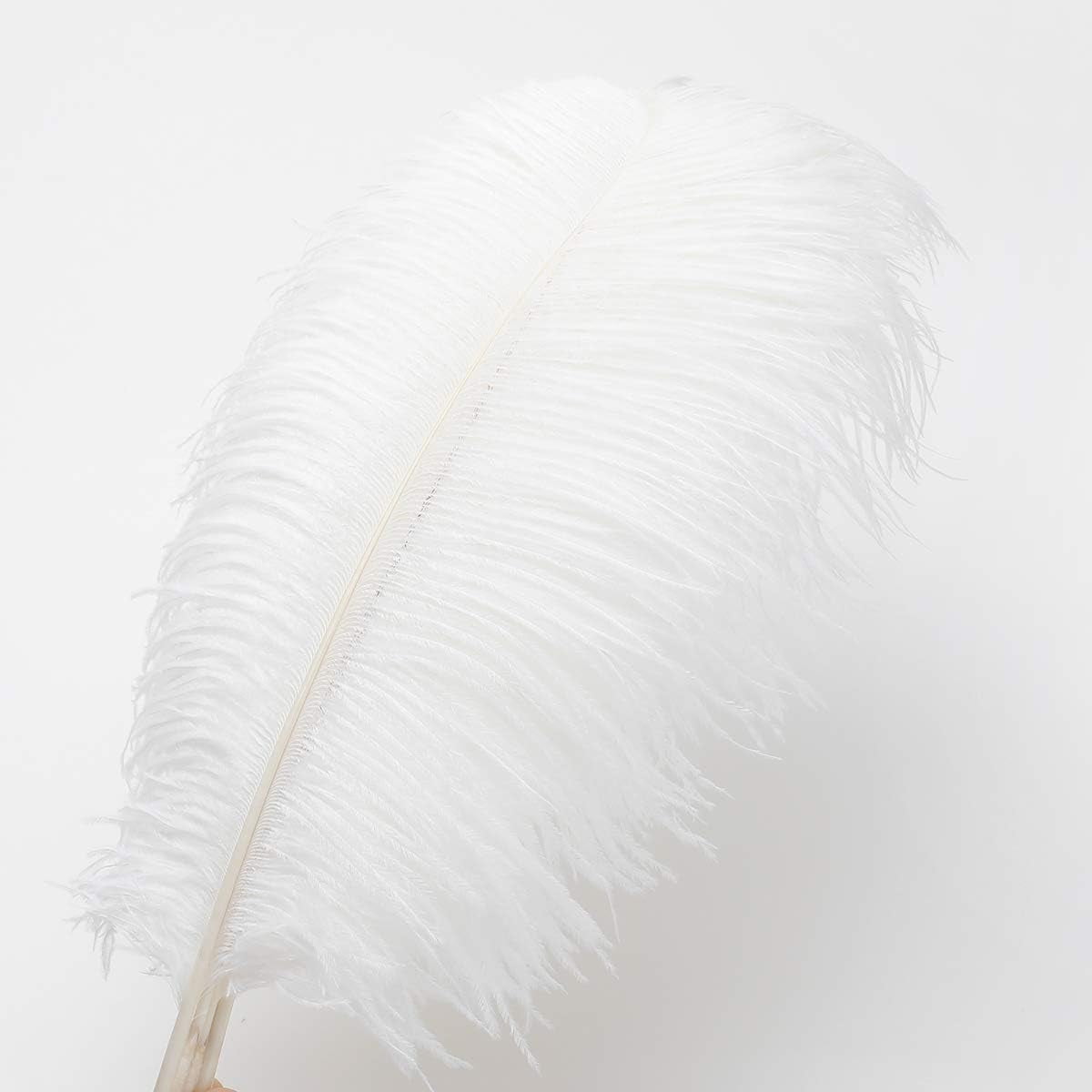 12pcs Natural White Ostrich Feathers Plumes 10-12inch(25-30cm) Bulk for  Wedding Party Centerpieces Easter Carnival Flower Arrangement and Home  Decorations White 12PCS