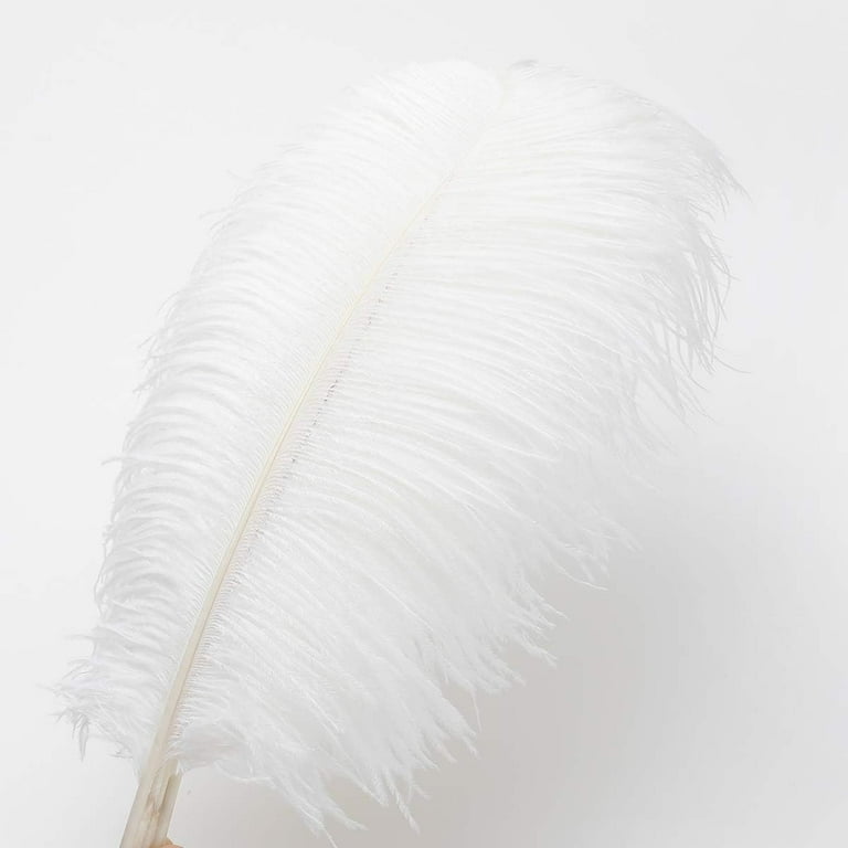 Hapeisy 10pcs White Natural Ostrich Feathers for Party, Wedding, Masquerade  and Home Decorations Crafts 