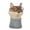 Fox, variant on SDFGTstore Resin Animal Mini Flower Pot For Indoor Flowers Fox Deer Elk Owl Raccoon Procyon