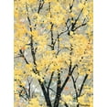 thumbnail image 2 of Art.com Early Spring I Art Print by Helena Alves, 24" x 32", 2 of 4