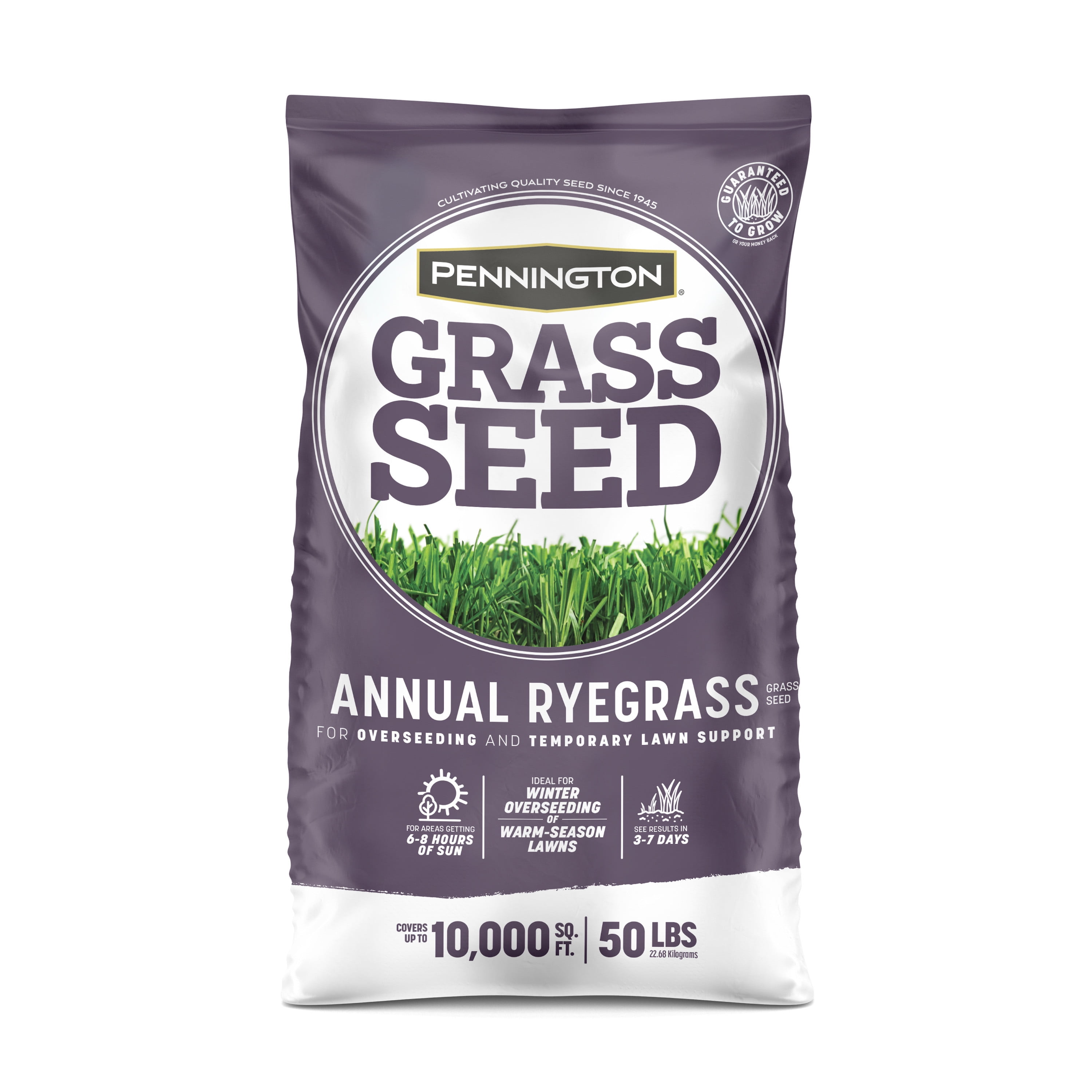 10 Kg GRASS SEED FOR GATEWAYS A Proper Fast Growing Mixture For Rapid Repair 