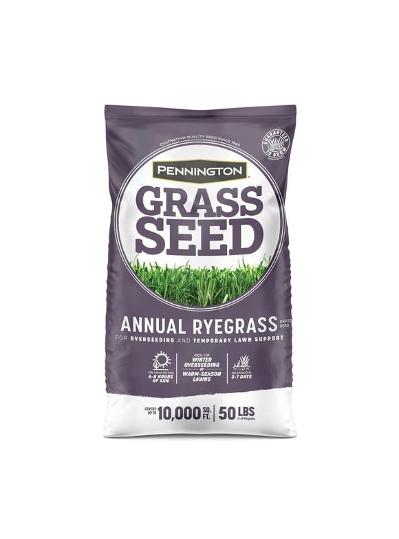Ryegrass Seed in Grass Seed & Sod