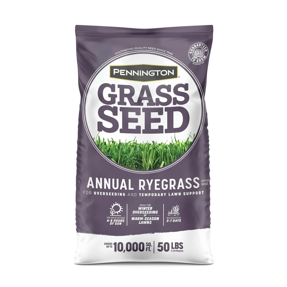 Pennington Annual Ryegrass Grass Seed 50 lb