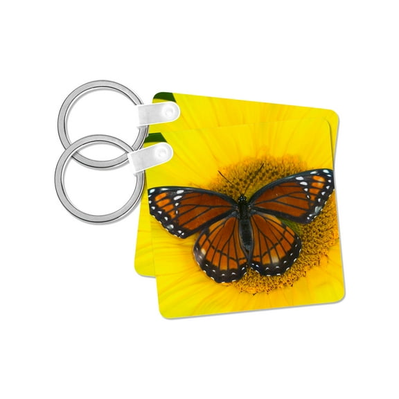 3dRose, Viceroy Butterfly, a mimic of the Monarch Butterfly 01, set of 2 Key Chains