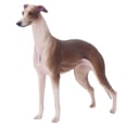 thumbnail image 2 of Simulación De Material Plástico Suave Modelos De Galgo, Sin Daños Modelo De Galgo, Herramienta De Enseñanza Para Bebés, 2 of 7